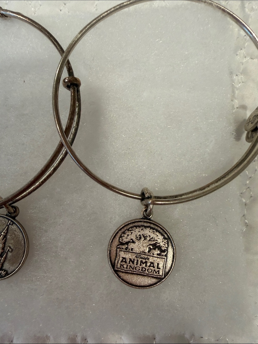 Alex and Ani Silver Animal Kingdom and Magic Kingdom Charm Bangle Bracelet